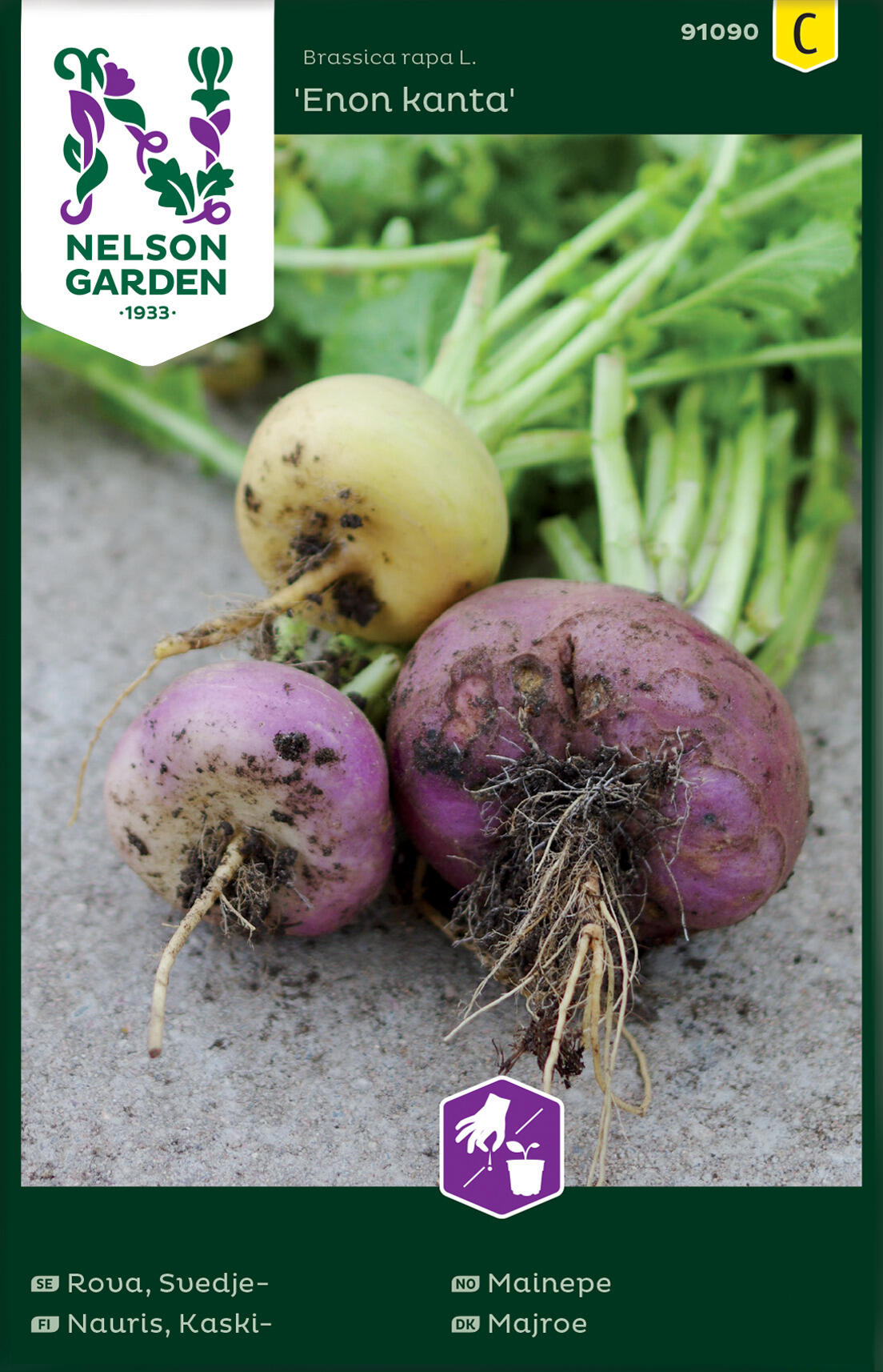 Mainepe 'Enon kanta'